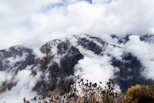 Discover the Ultimate Fossil-Hunting Havens: Best UK Beaches for Exciting Adventures